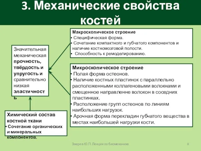 3. Механические свойства костей Значительная механическая прочность, твёрдость и упругость и