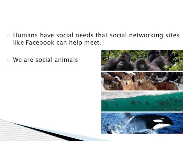 Humans have social needs that social networking sites like Facebook can