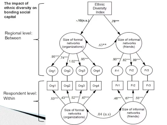 Regional level: Between The impact of ethnic diversity on bonding social capital Respondent level: Within