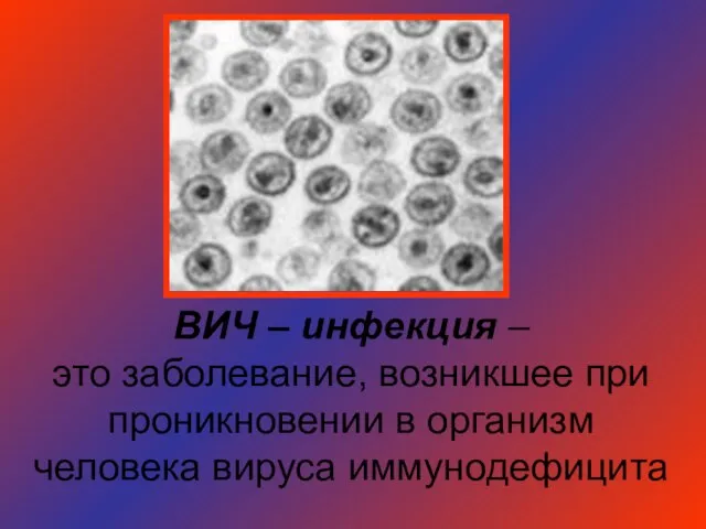 ВИЧ – инфекция – это заболевание, возникшее при проникновении в организм человека вируса иммунодефицита