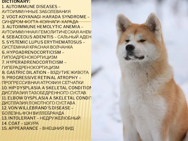 DICTIONARY: 1. AUTOIMMUNE DISEASES – АУТОИММУННЫЕ ЗАБОЛЕВАНИЯ 2. VOGT-KOYANAGI-HARADA SYNDROME –