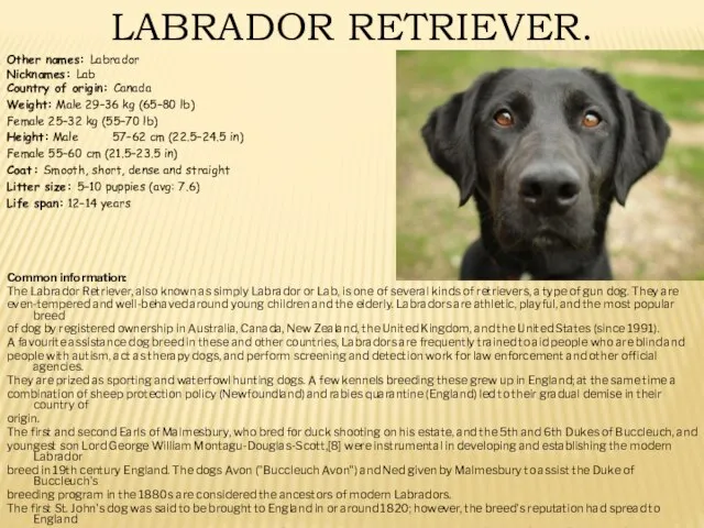 LABRADOR RETRIEVER. Other names: Labrador Nicknames: Lab Country of origin: Canada