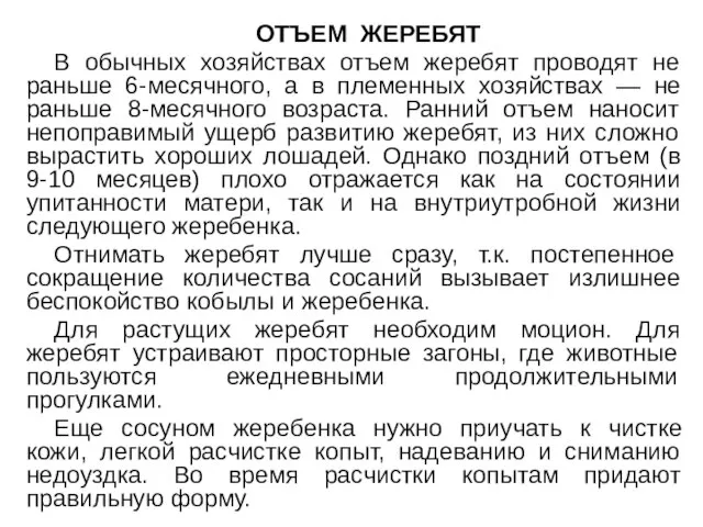 ОТЪЕМ ЖЕРЕБЯТ В обычных хозяйствах отъем жеребят проводят не раньше 6-месячного,