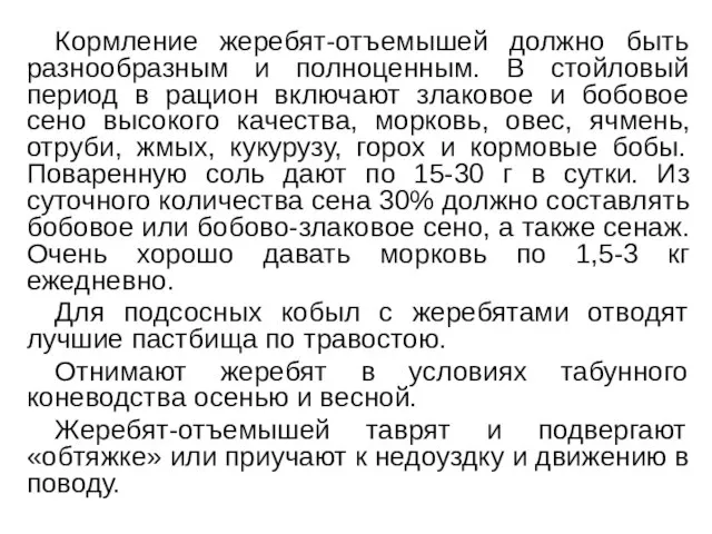 Кормление жеребят-отъемышей должно быть разнообразным и полноценным. В стойловый период в