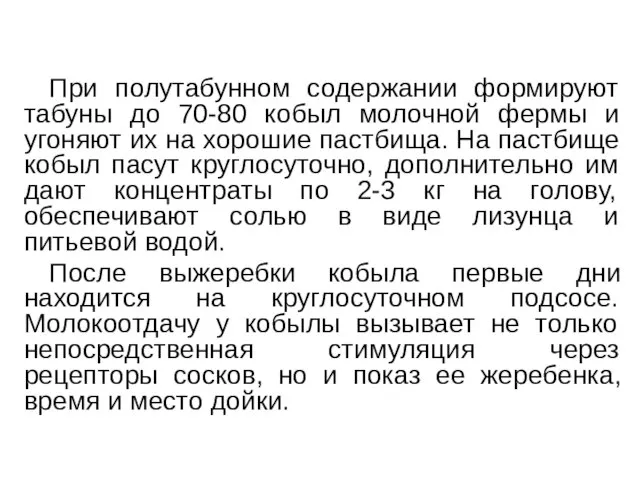 При полутабунном содержании формируют табуны до 70-80 кобыл молочной фермы и