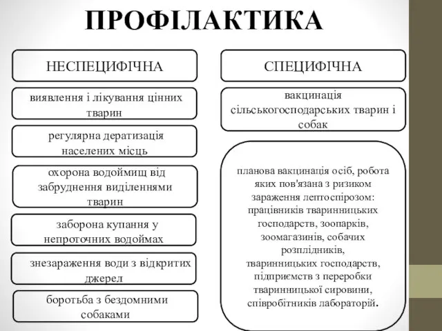 ПРОФІЛАКТИКА НЕСПЕЦИФІЧНА СПЕЦИФІЧНА виявлення і лікування цінних тварин регулярна дератизація населених