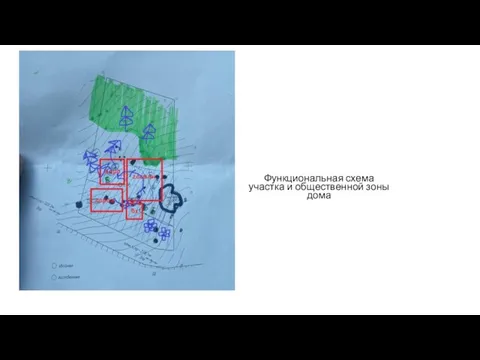 Функциональная схема участка и общественной зоны дома