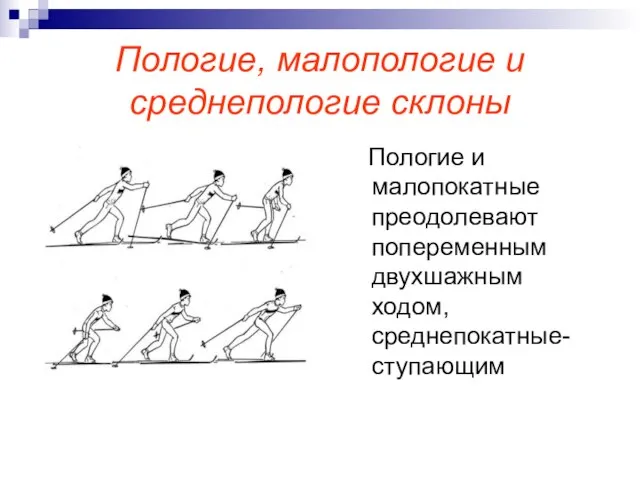 Пологие, малопологие и среднепологие склоны Пологие и малопокатные преодолевают попеременным двухшажным ходом, среднепокатные- ступающим