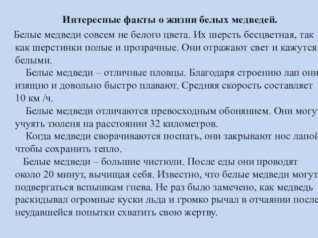 Интересные факты о жизни белых медведей. Белые медведи совсем не белого