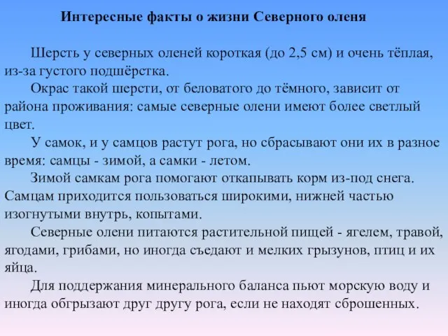 Интересные факты о жизни Северного оленя Шерсть у северных оленей короткая