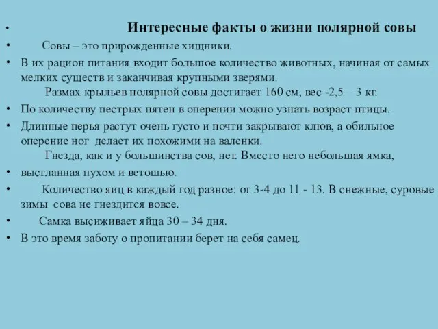 Интересные факты о жизни полярной совы Совы – это прирожденные хищники.