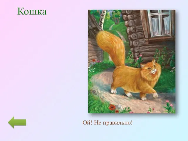 Кошка Ой! Не правильно!