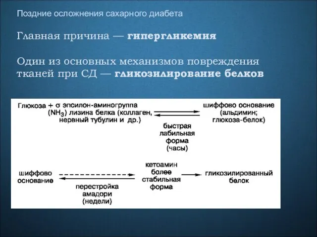 Поздние осложнения сахарного диабета Главная причина — гипергликемия Один из основных