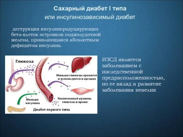 Сахарный диабет I типа или инсулинозависимый диабет деструкция инсулинпродуцирующих бета-клеток островков