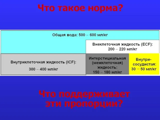 Что такое норма? Что поддерживает эти пропорции?