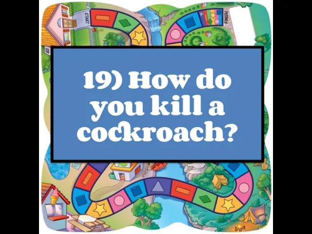 19) How do you kill a cockroach?