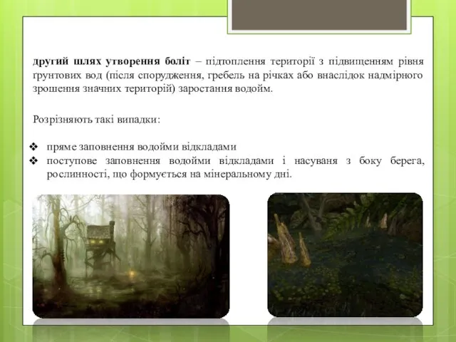 другий шлях утворення боліт – підтоплення території з підвищенням рівня ґрунтових