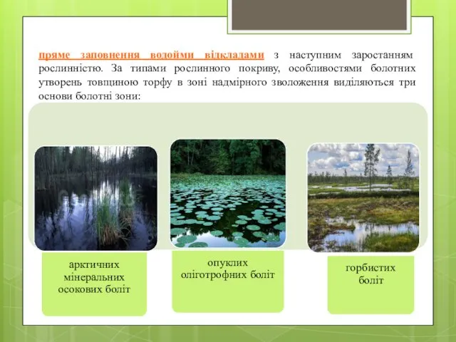 пряме заповнення водойми відкладами з наступним заростанням рослинністю. За типами рослинного