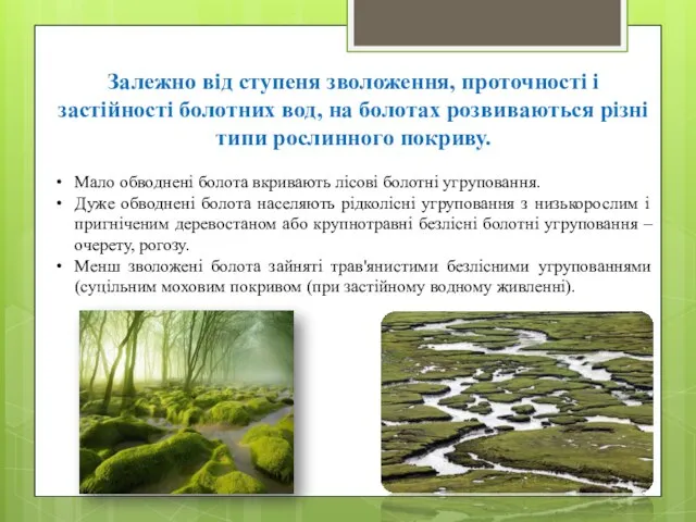 Залежно від ступеня зволоження, проточності і застійності болотних вод, на болотах