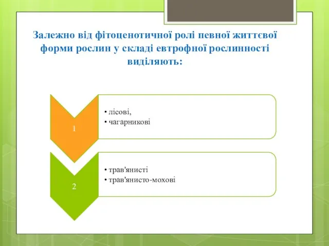 Залежно від фітоценотичної ролі певної життєвої форми рослин у складі евтрофної рослинності виділяють: