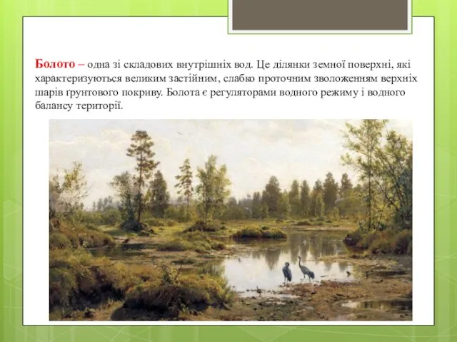 Болото – одна зі складових внутрішніх вод. Це ділянки земної поверхні,