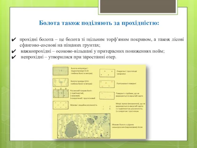 Болота також поділяють за прохідністю: прохідні болота – це болота зі