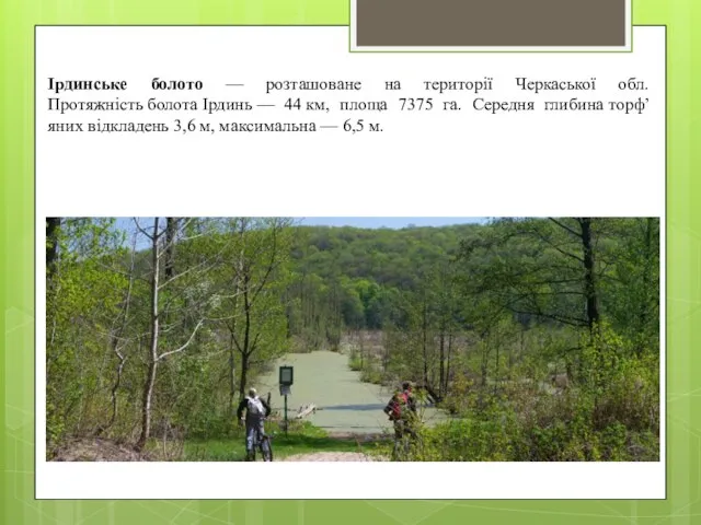 Ірдинське болото — розташоване на території Черкаської обл. Протяжність болота Ірдинь
