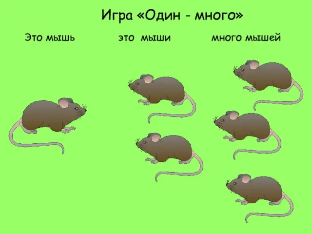 Это мышь это мыши много мышей Игра «Один - много»