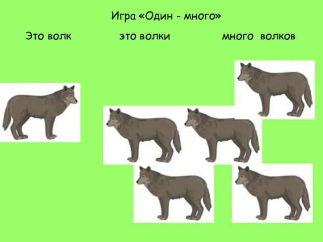 Игра «Один - много» Это волк это волки много волков