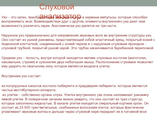 Слуховой анализатор Ухо – это орган, преобразующий звуковые волны в нервные