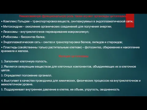 Немаловажную функциональную роль также играют органоиды цитоплазмы: • Комплекс Гольджи –