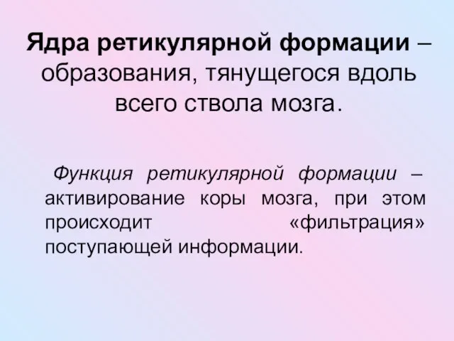 Ядра ретикулярной формации – образования, тянущегося вдоль всего ствола мозга. Функция