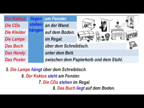 6. Der Kaktus steht am Fenster. 7. Die CDs stehen im