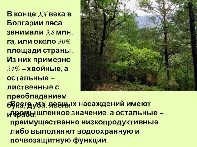 В конце XX века в Болгарии леса занимали 3,8 млн. га,