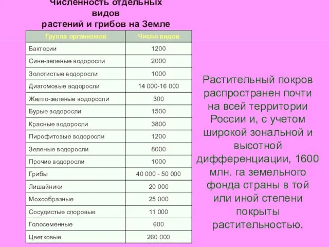 Численность отдельных видов растений и грибов на Земле Растительный покров распространен