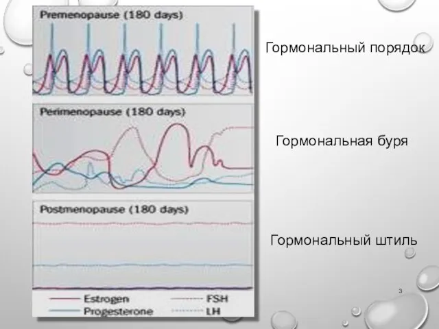 Гормональная буря Гормональный штиль Гормональный порядок