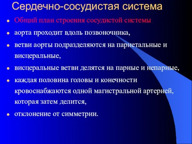 Сердечно-сосудистая система Общий план строения сосудистой системы аорта проходит вдоль позвоночника,