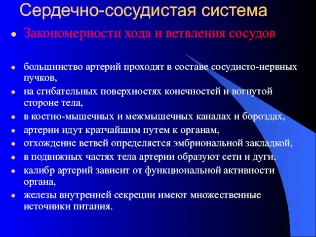 Сердечно-сосудистая система Закономерности хода и ветвления сосудов большинство артерий проходят в