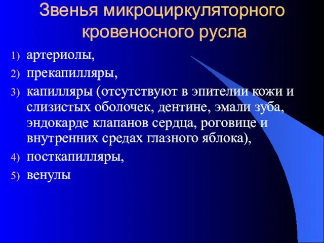 Звенья микроциркуляторного кровеносного русла артериолы, прекапилляры, капилляры (отсутствуют в эпителии кожи