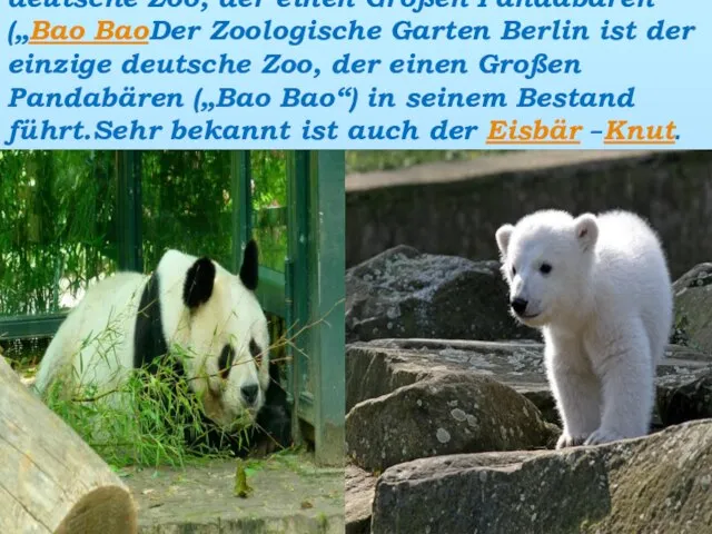 Der Zoologische Garten Berlin ist der einzige deutsche Zoo, der einen