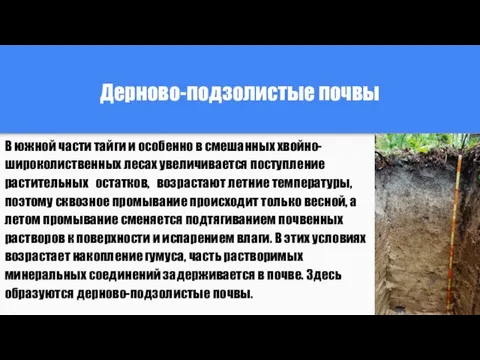 Дерново-подзолистые почвы В южной части тайги и особенно в смешанных хвойно-широколиственных