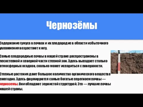 Чернозёмы Содержание гумуса в почвах и их плодородие в области избыточного