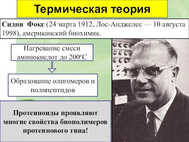 Термическая теория Сидни Фокс (24 марта 1912, Лос-Анджелес — 10 августа