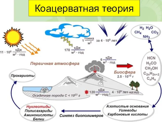 Коацерватная теория