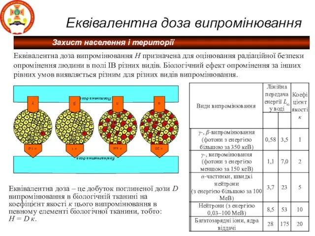 Еквівалентна доза випромінювання Еквівалентна доза випромінювання Н призначена для оцінювання радіаційної