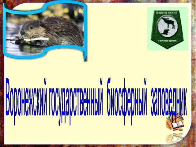 Воронежский государственный биосферный заповедник