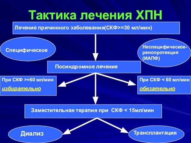 Тактика лечения ХПН Лечение причинного заболевания(СКФ>=30 мл/мин) Трансплантация Диализ Заместительная терапия