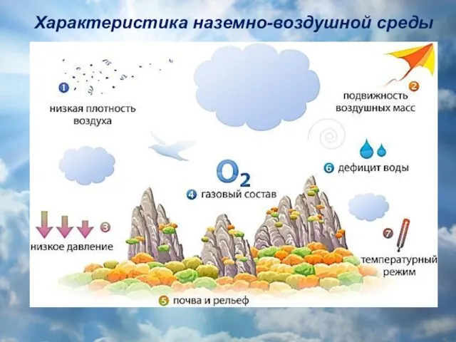 Характеристика наземно-воздушной среды