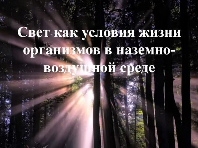 Свет как условия жизни организмов в наземно-воздушной среде