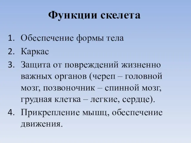 Функции скелета Обеспечение формы тела Каркас Защита от повреждений жизненно важных